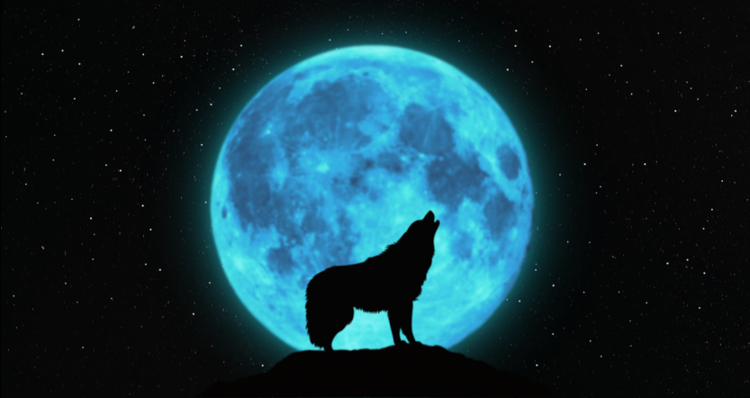 Simple piece that relies on the visual contrast between a wolf and the moon it so adores