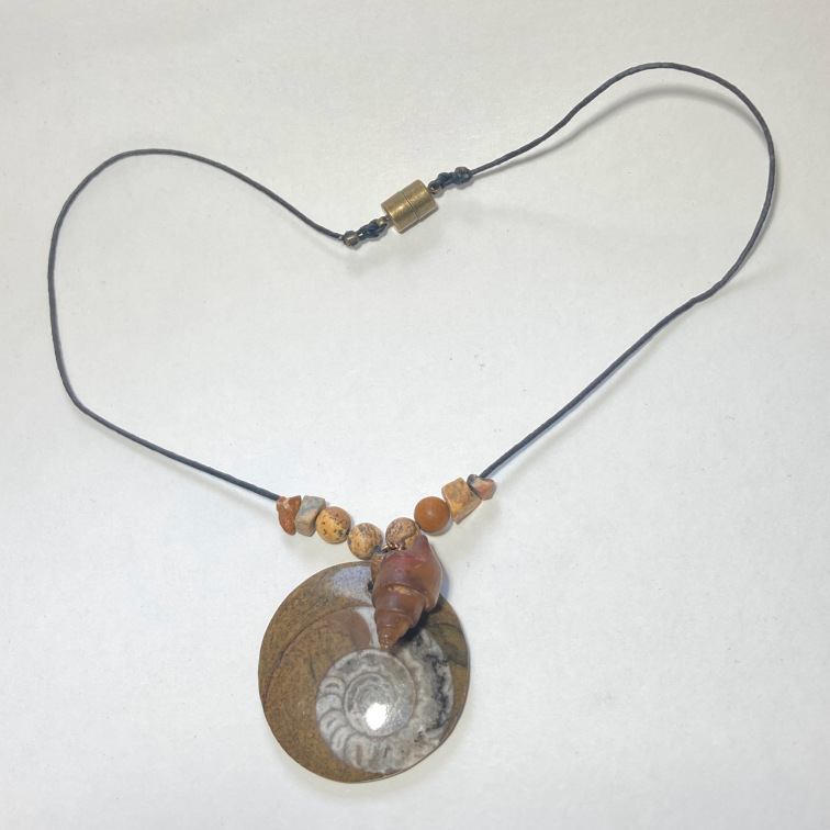 Fossilized ammonite and opalized shell with minimal accents